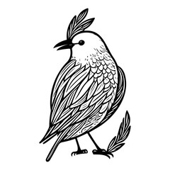 Whimsical avian illustration with intricate feather detailing and minimalist aesthetic