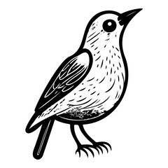 Monochrome depiction of a standing bird with intricate feather detailing