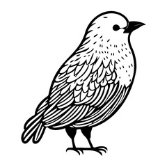 Stylized bird illustration with meticulous details rendered in stark black and white