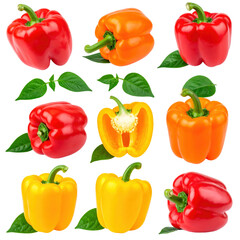 Paprika collection with leaves isolated on white or transparent png 