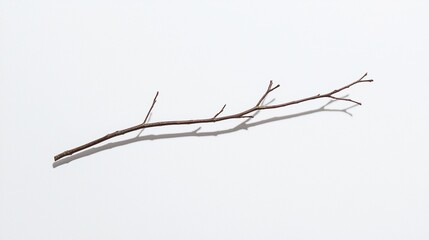 Fototapeta premium A single dry twig rests on a plain white background, casting a soft shadow.