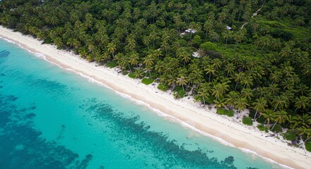 Fototapeta premium Tropical paradise with turquoise water meeting a white sand beach lined with lush palm trees and dense green forest.