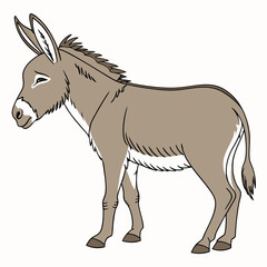 donkey vector illustration