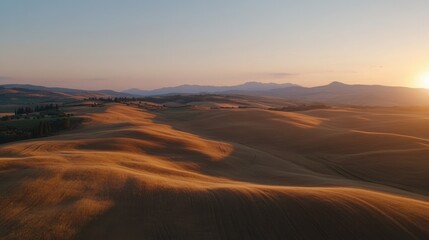 Naklejka premium Aerial 8K ultra-detailed cinematic view of golden wheat fields at sunrise, subtle wind waves and a clear, serene blue sky enhancing the peaceful atmosphere