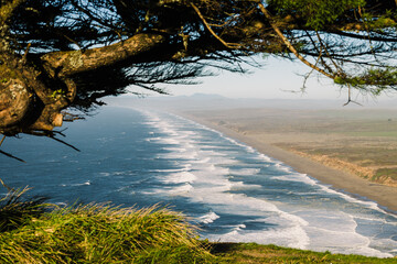 Coastal view from a hillside overlooking Point Reyes National Seashore