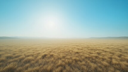 Fototapeta premium Sweeping aerial shot of wheat fields stretching to the horizon, illuminated by warm morning sunlight, gentle wind and pastel blue sky, ultra-detailed 8K