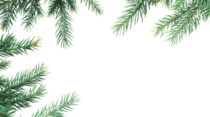 Obraz premium Festive Christmas Tree Branches Forming a Decorative Frame isolated on White Background