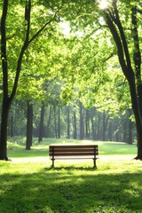 Serene park scene sunlit bench nestled among lush green trees