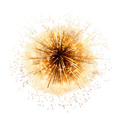Golden Firework Bursts with Delicate Trails on White Background