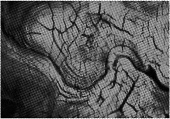 Abstract Background  In Halftone Mode	