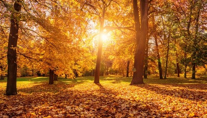 Beautiful autumn landscape with. Colorful foliage in the park. Falling leaves natural background