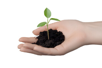 A hand holding a small plant seedling, isolated on a transparent background