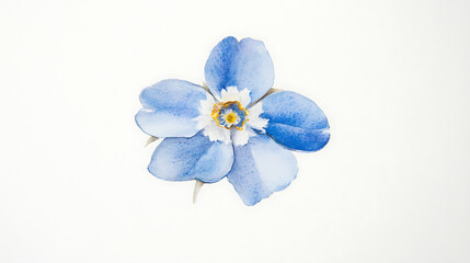 A blue flower with white petals