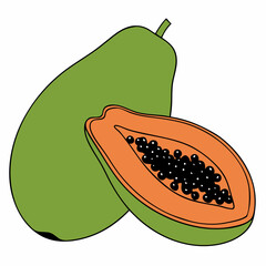 illustration of whole and half of ripe papaya fruit with seeds isolated and slices on white background