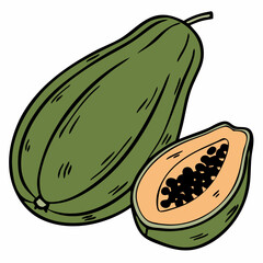 illustration of whole and half of ripe papaya fruit with seeds isolated and slices on white background
