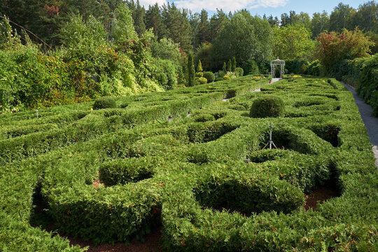 Regular French Garden exposition with hedge maze and lush green hedge in Central Siberian Botanical Garden.
