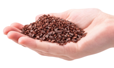 Closeup hand holding buckwheat kasha groats roasted brown healthy food diet grain isolated on transparent background