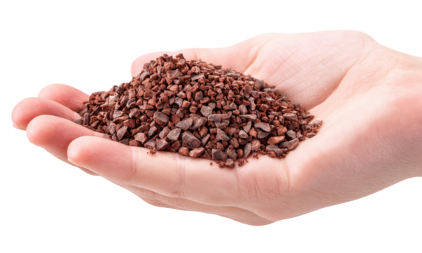 Closeup hand holding buckwheat kasha groats roasted brown healthy food diet grain isolated on transparent background - Powered by Adobe