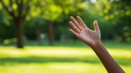 Hand Gesture in Outdoor Scene