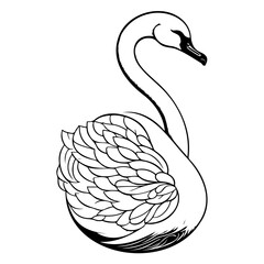 Elegant swan illustration with detailed feathering for artistic projects