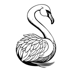 Elegant Swan Vector Illustration with Graceful Lines and Detailed Feathering