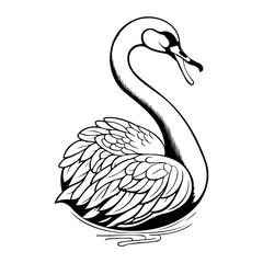 Elegant Swan Vector Illustration in Black and White for Art and Design Projects
