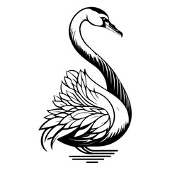 Elegant swan illustration with intricate feather detailing on a clean background