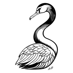 Elegant black and white swan illustration showcasing graceful curvature and detail