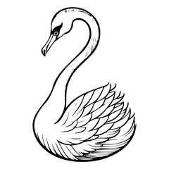 Elegant monochrome swan illustration with graceful curves and detailed feathering