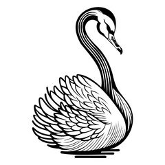 Elegant swan illustration with flowing lines showcasing a graceful aquatic bird