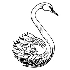 Elegant Swan Illustration: A Delicate Black and White Drawing with Feathered Detail