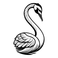 Elegant swan illustration with delicate feather detailing against white background