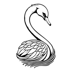 Elegant swan illustration with refined lines, capturing serenity and grace