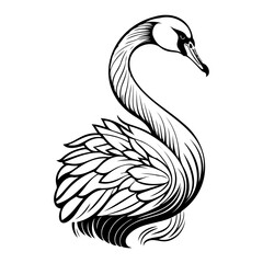 Fototapeta premium Elegant Swan Illustration: A graceful avian depiction in monochrome artwork