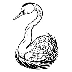 Elegant swan illustration with flowing lines in minimalist black and white style