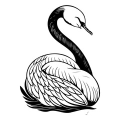 Elegant monochrome swan artwork displaying its natural graceful form and curves