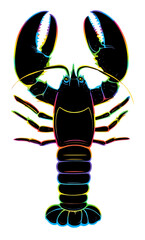 Lobster1