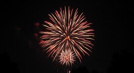 Fireworks Exploding in the Night Sky Displaying Bright Colors