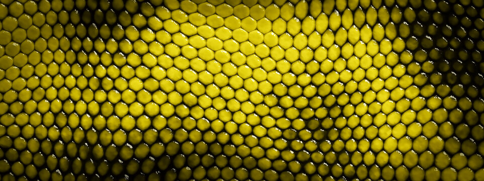 ハニカム素材」の写真素材 | 8,072件の無料イラスト画像 | Adobe Stock