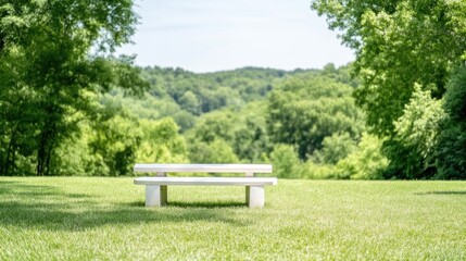 Fototapeta premium Empty white park bench in a grassy field overlooking a lush forest