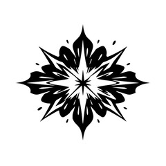 Abstract Black & White Burst: Geometric, Decorative Design Element