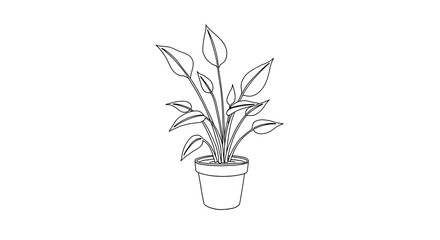 Fototapeta premium plant pot design decoration 
