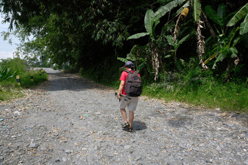 Obraz premium Rear view: A woman with a backpack and camera gear walks down a rocky path surrounded by dense greenery on a sunny day