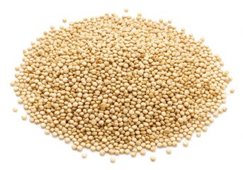 A pile of raw quinoa seeds on a white surface displayed in a close up studio shot with soft lighting