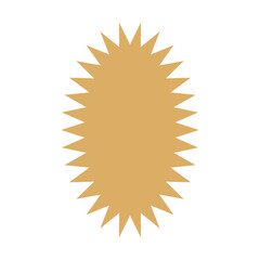 gold starburst shape element