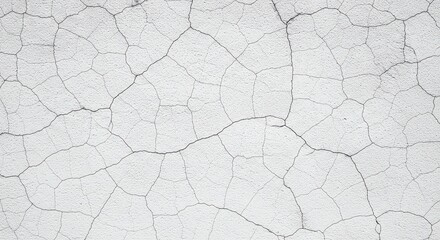 Fototapeta premium Cracked White Surface Texture Abstract Background