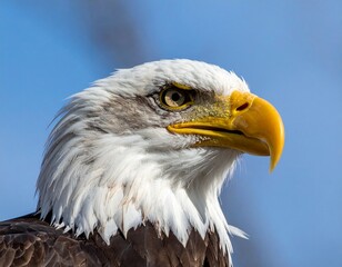 Obraz premium titled