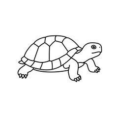 Fototapeta premium Turtle walking line icon in black and white