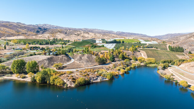 Aerial perspective  of the Cromwell gorge and Bannockburn area in Autumn