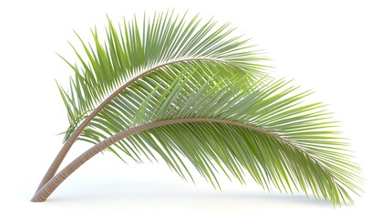 Obraz premium Delicate light green feather illustration